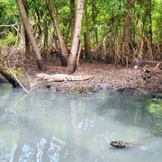 Pantanal do Rio de Janeiro