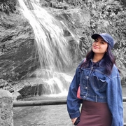 Cariocando na Floresta da Tijuca