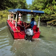 Pantanal do Rio de Janeiro