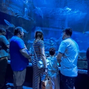 Cariocando no AquaRio e Boulevard Olímpico