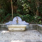 Cariocando na Floresta da Tijuca