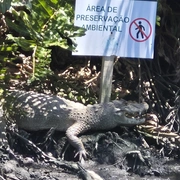 Pantanal do Rio de Janeiro