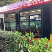 Um Dia no Rio de Trem